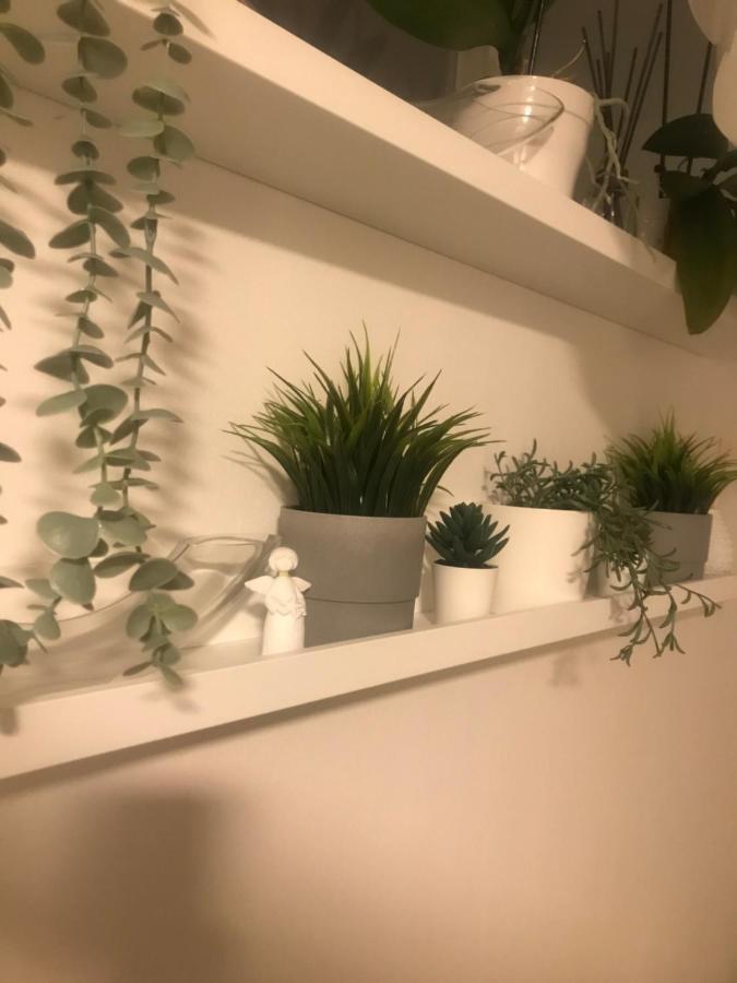 Apartman Vervis Varaždin Extérieur photo